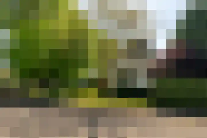 Den Horst 2 Roermond thumbnail 35