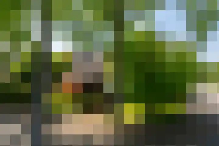 Den Horst 2 Roermond thumbnail 36
