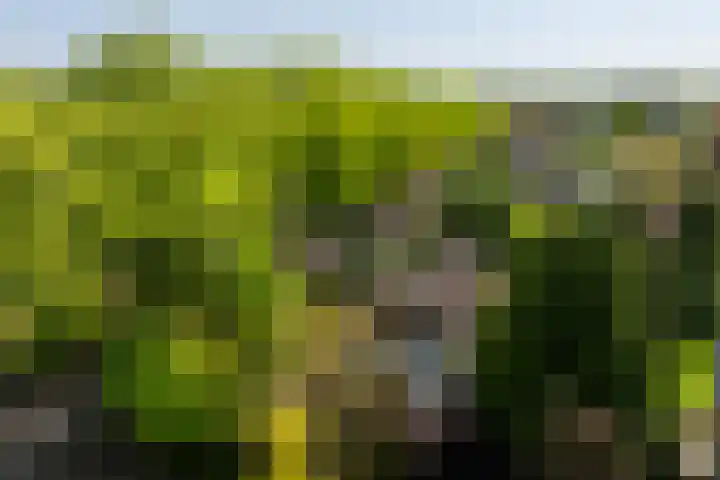 Den Horst 2 Roermond thumbnail 37