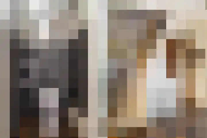Den Horst 2 Roermond thumbnail 6