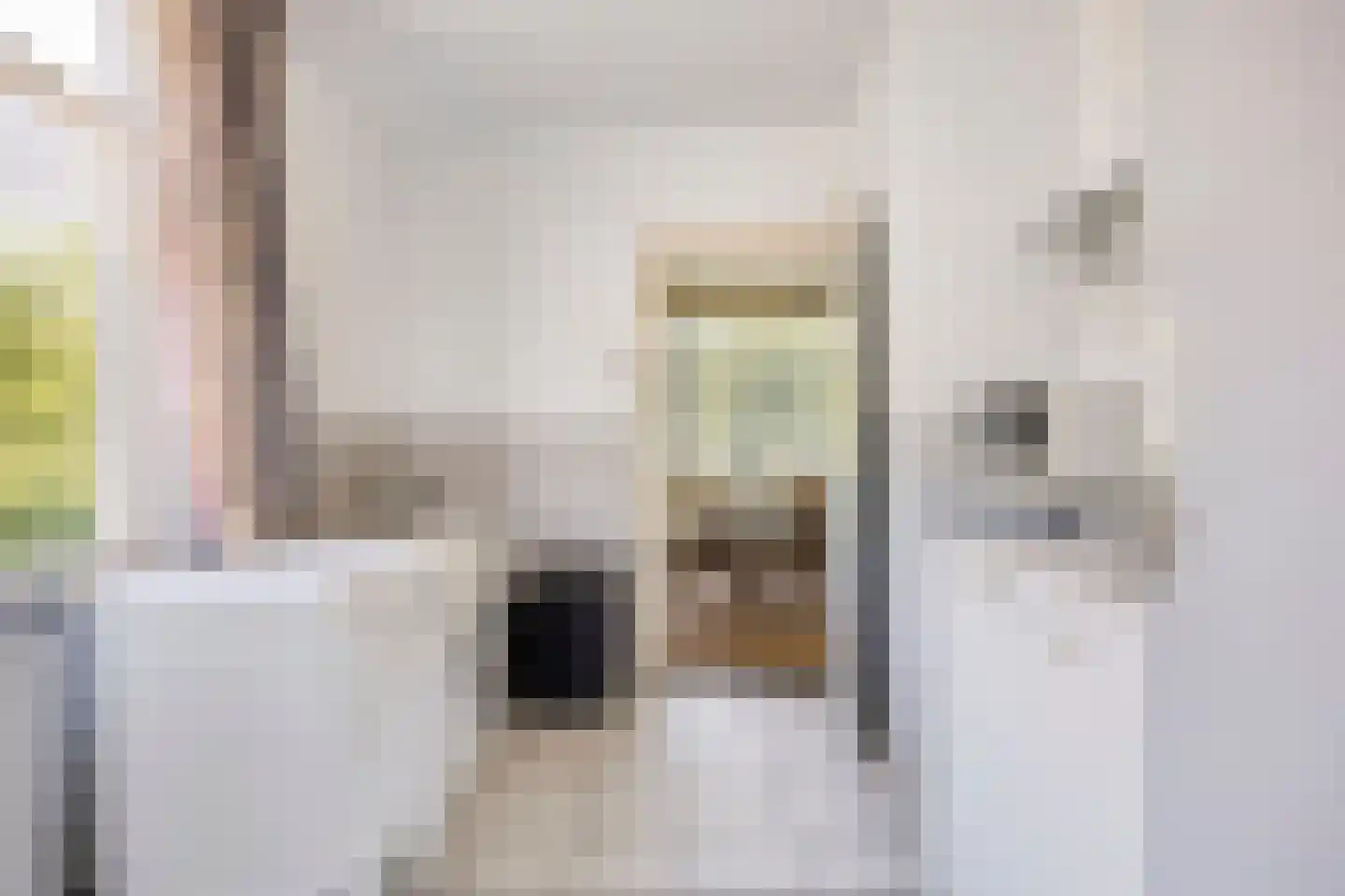 den Houw 1 Lieshout thumbnail 10