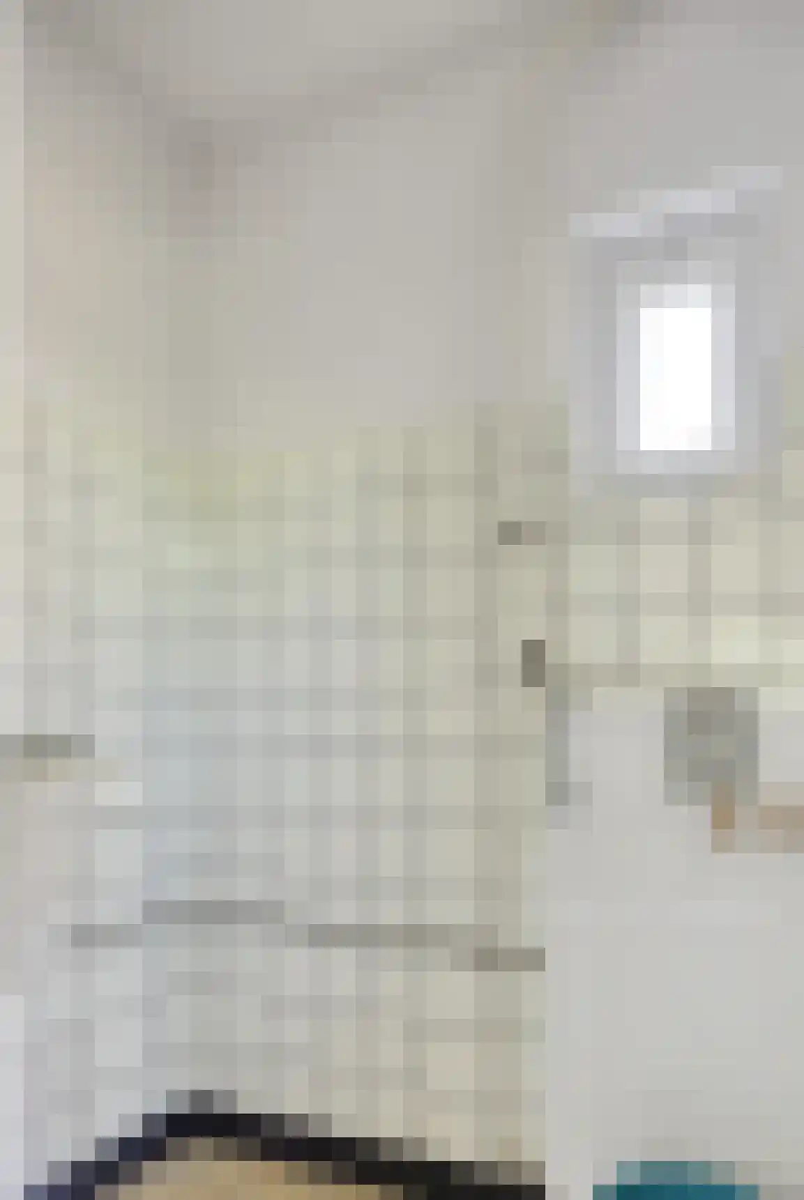 den Houw 1 Lieshout thumbnail 11