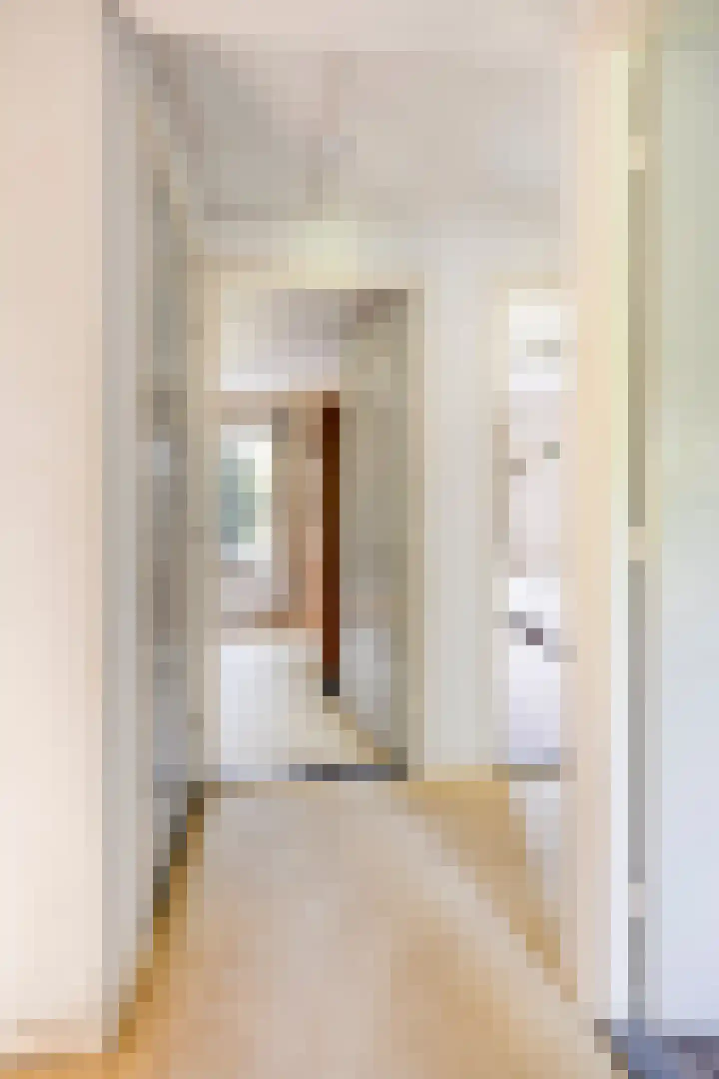 den Houw 1 Lieshout thumbnail 14