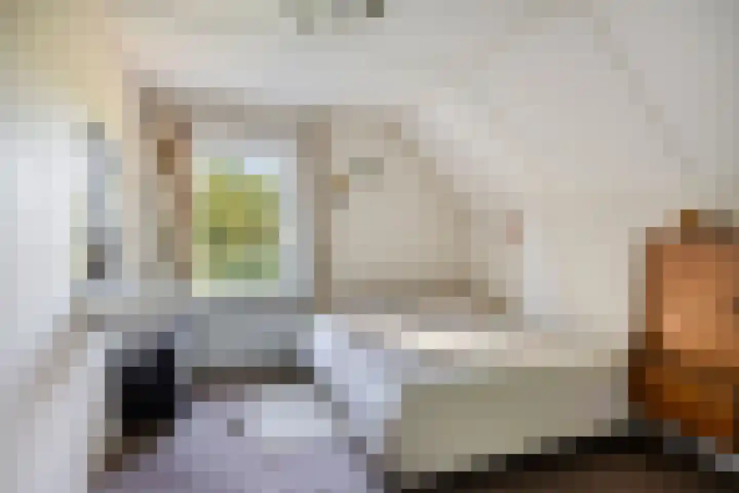 den Houw 1 Lieshout thumbnail 16