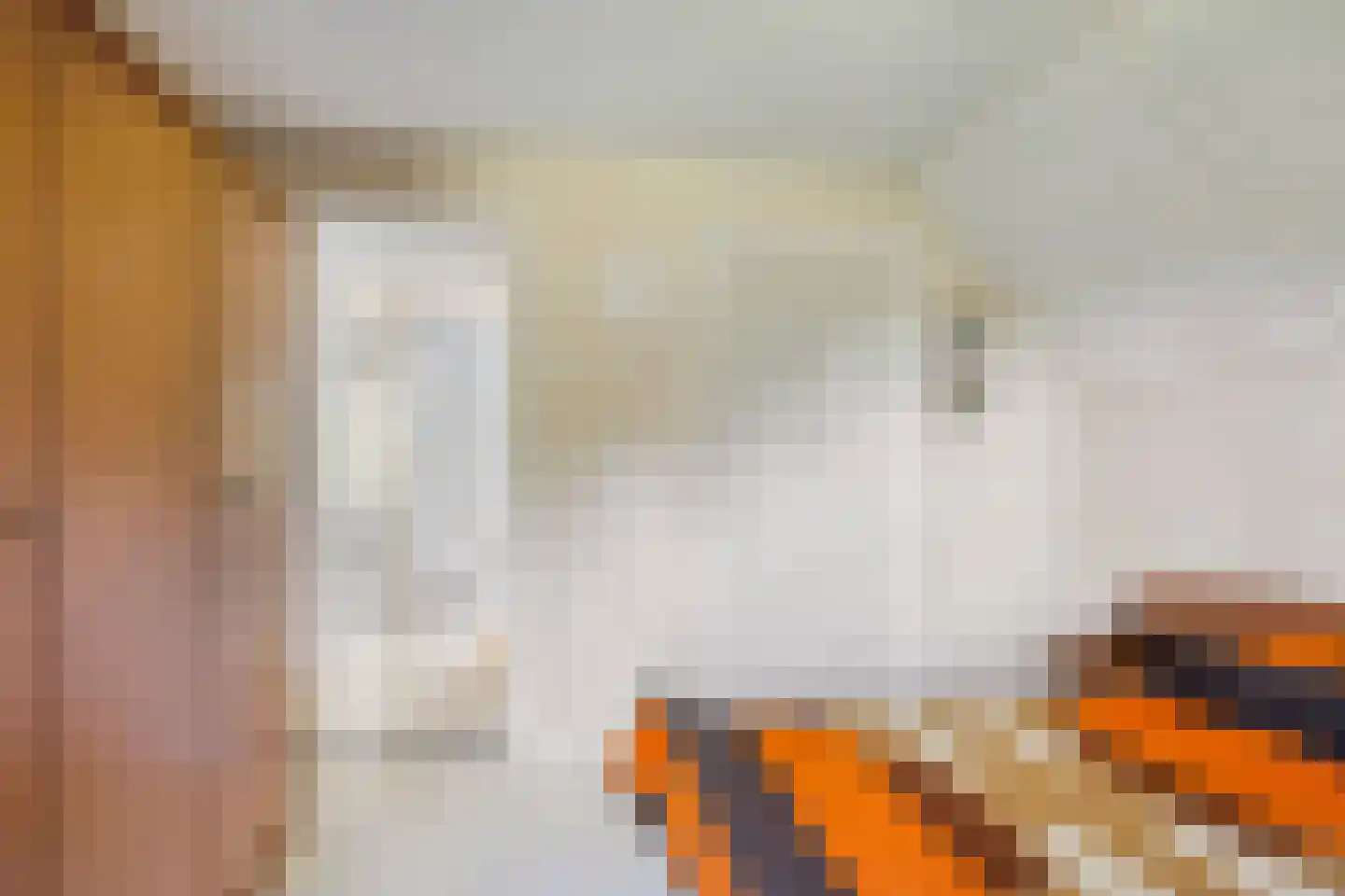 den Houw 1 Lieshout thumbnail 17