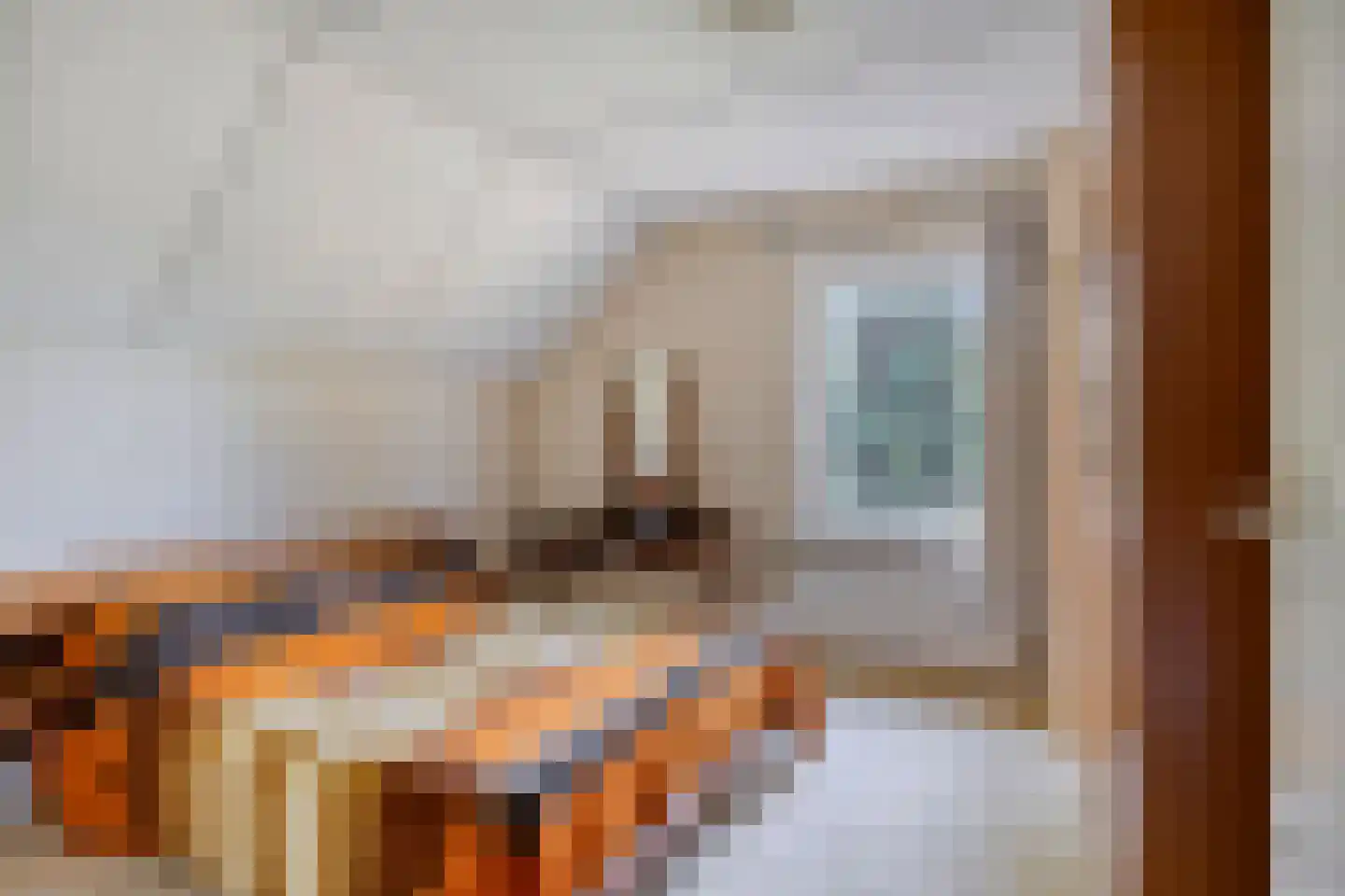 den Houw 1 Lieshout thumbnail 18