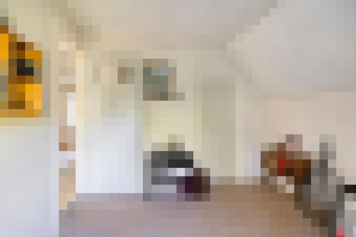 den Houw 1 Lieshout thumbnail 20