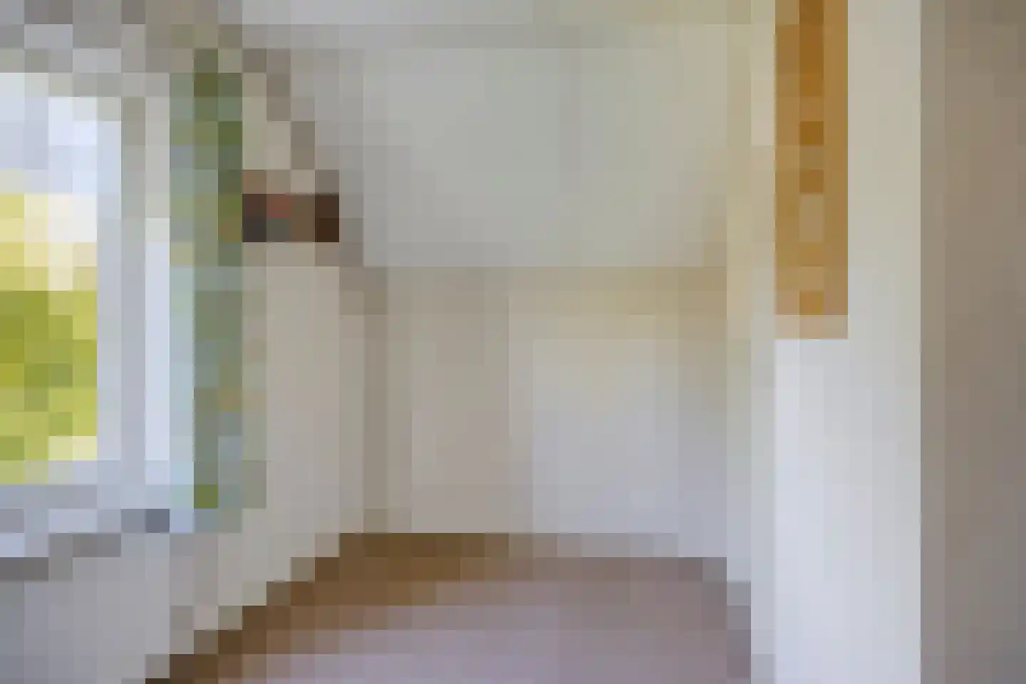 den Houw 1 Lieshout thumbnail 21