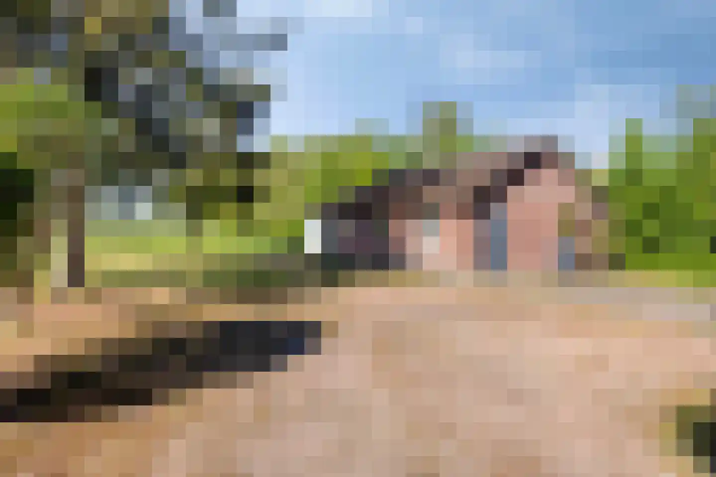 den Houw 1 Lieshout thumbnail 23