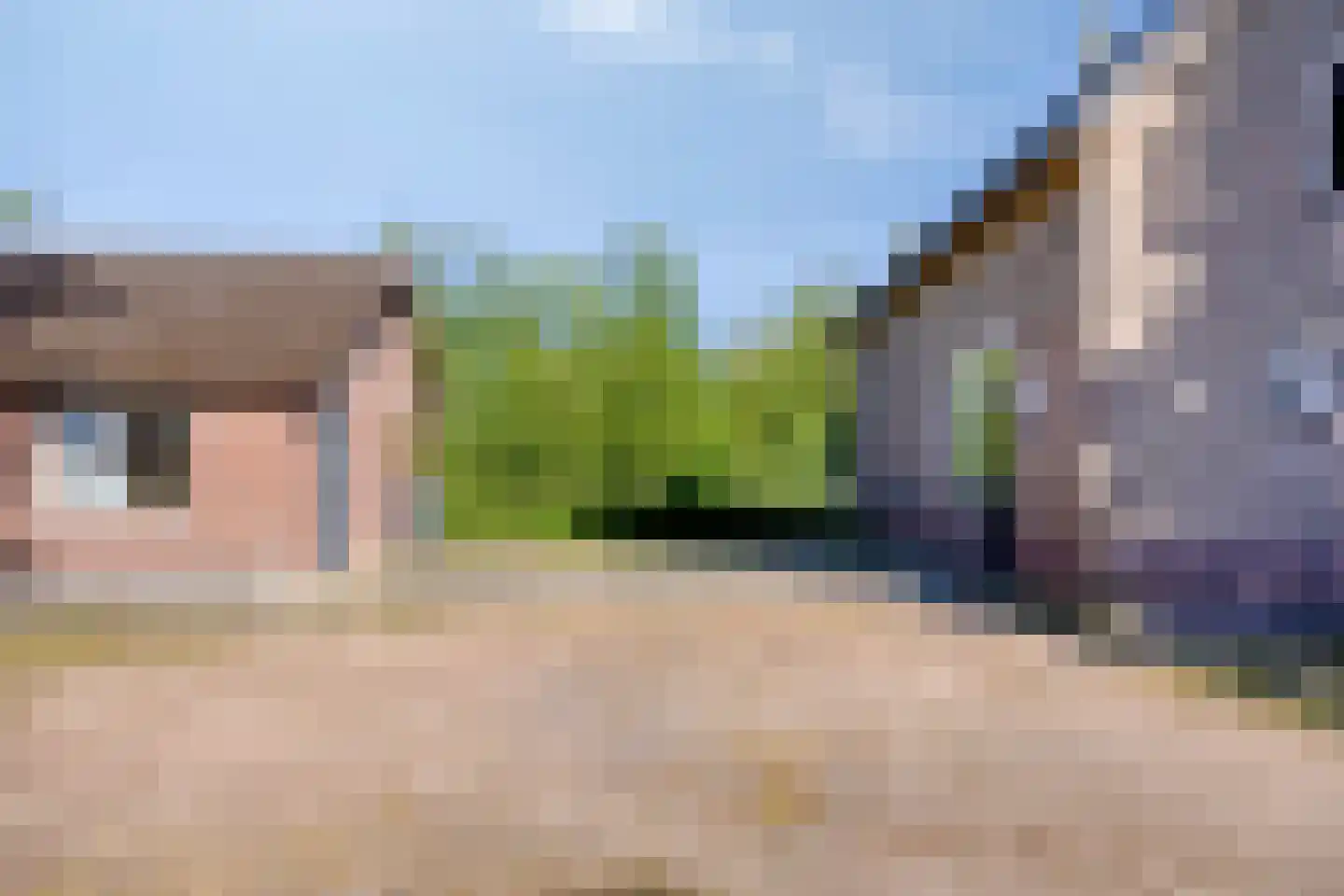 den Houw 1 Lieshout thumbnail 24