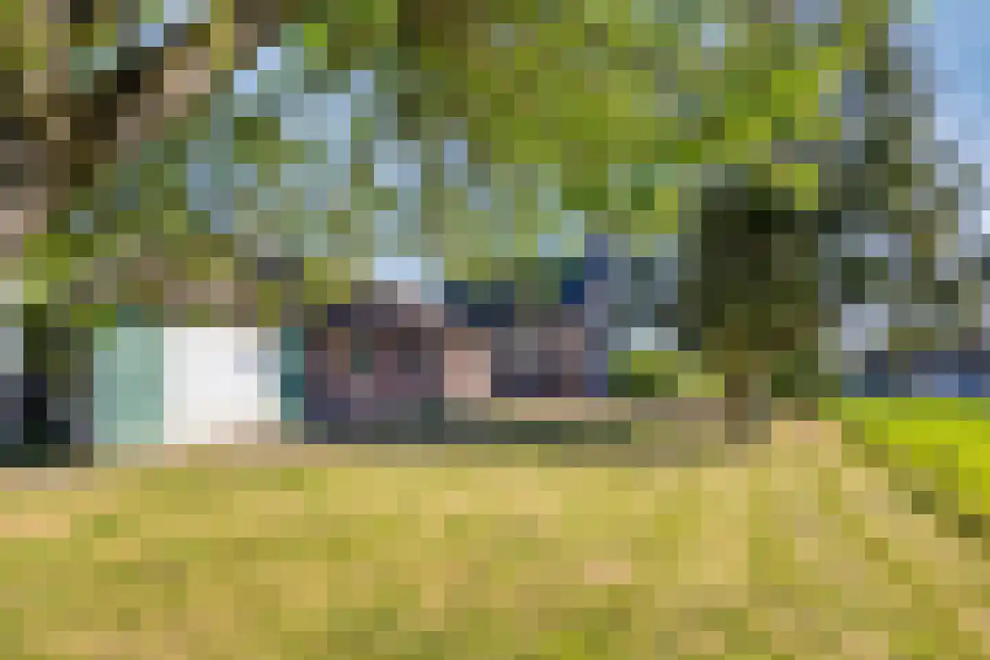 den Houw 1 Lieshout thumbnail 25