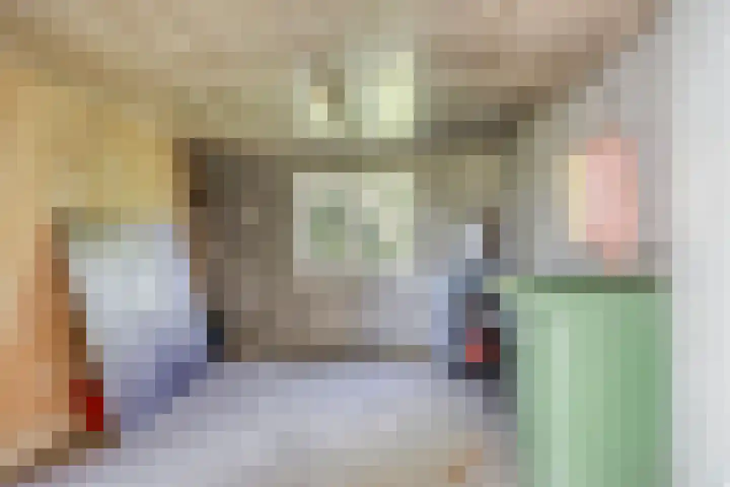 den Houw 1 Lieshout thumbnail 27