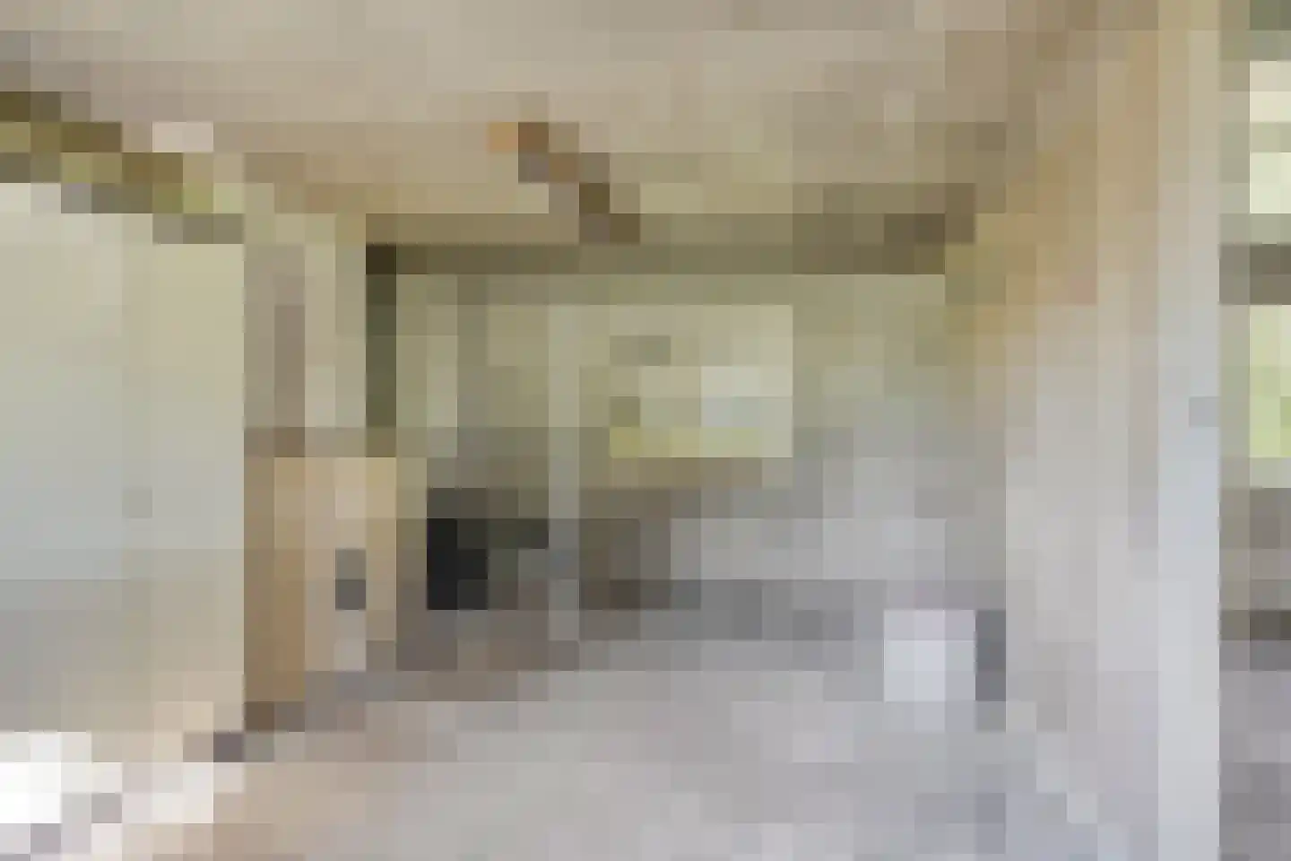 den Houw 1 Lieshout thumbnail 28
