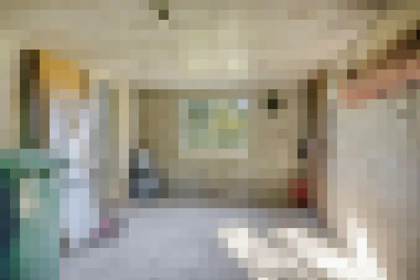den Houw 1 Lieshout thumbnail 29