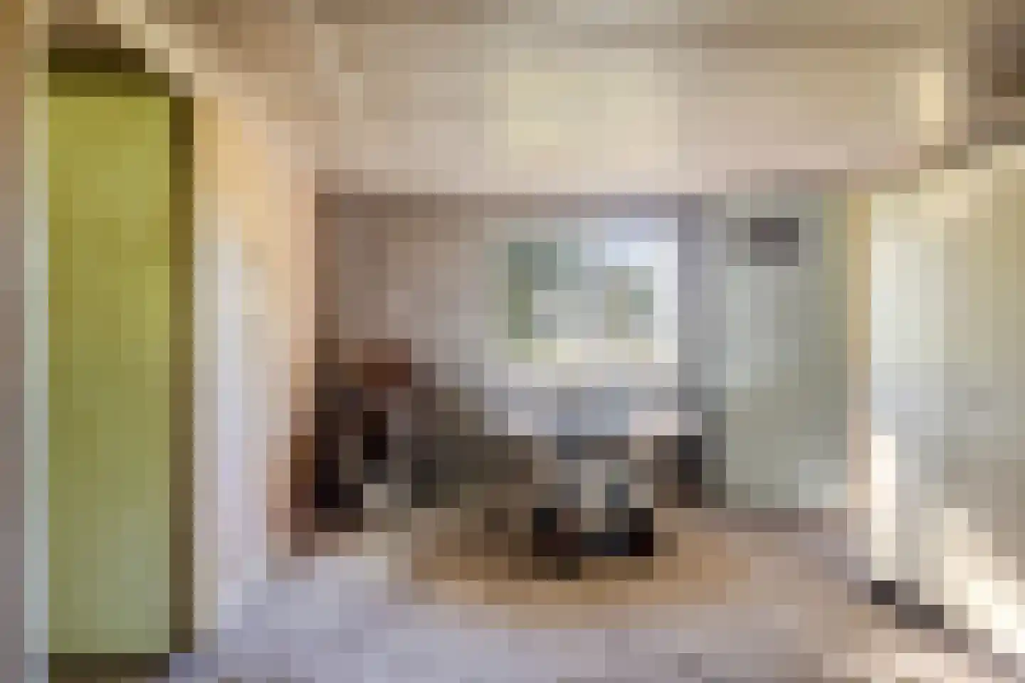 den Houw 1 Lieshout thumbnail 30