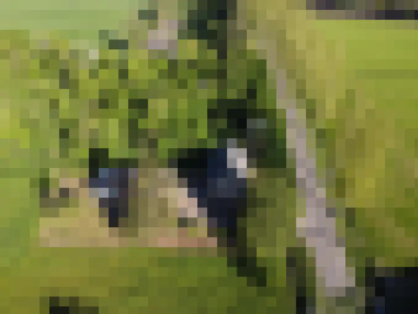 den Houw 1 Lieshout thumbnail 32