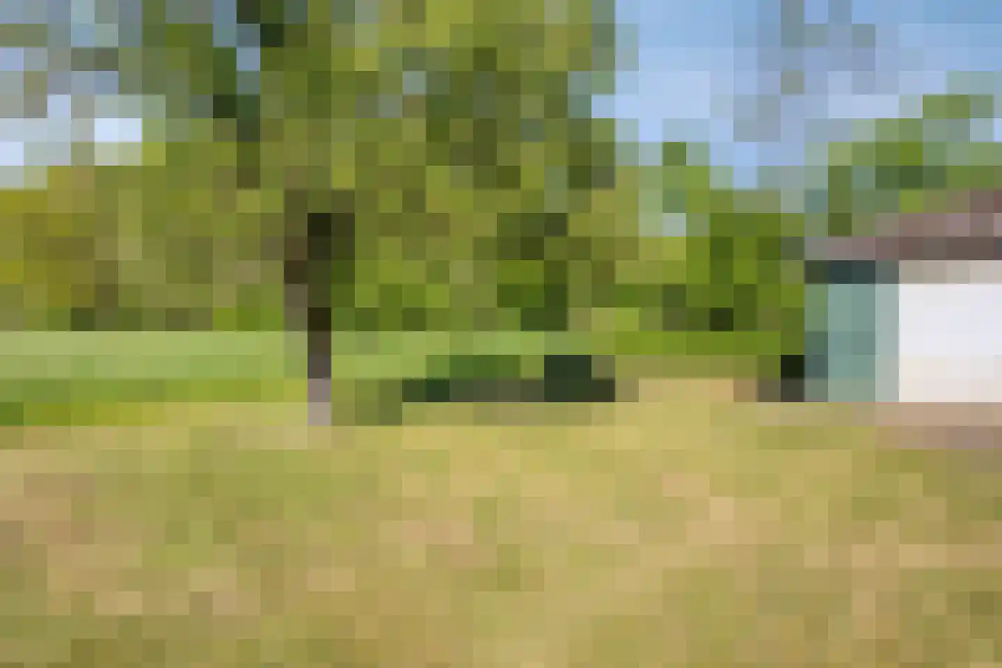 den Houw 1 Lieshout thumbnail 35
