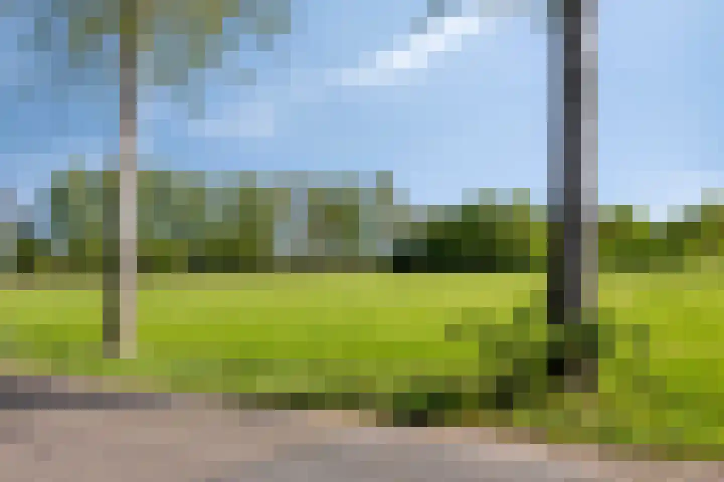 den Houw 1 Lieshout thumbnail 36