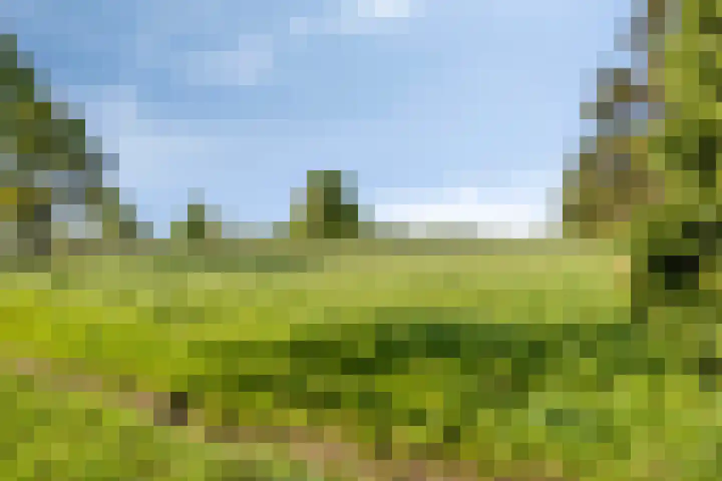 den Houw 1 Lieshout thumbnail 37