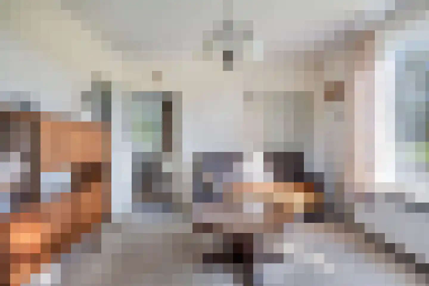 den Houw 1 Lieshout thumbnail 5