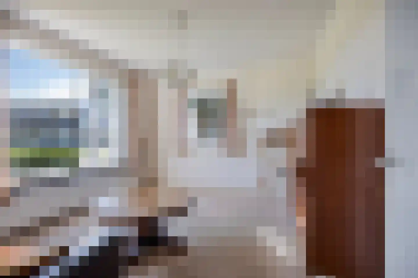 den Houw 1 Lieshout thumbnail 6