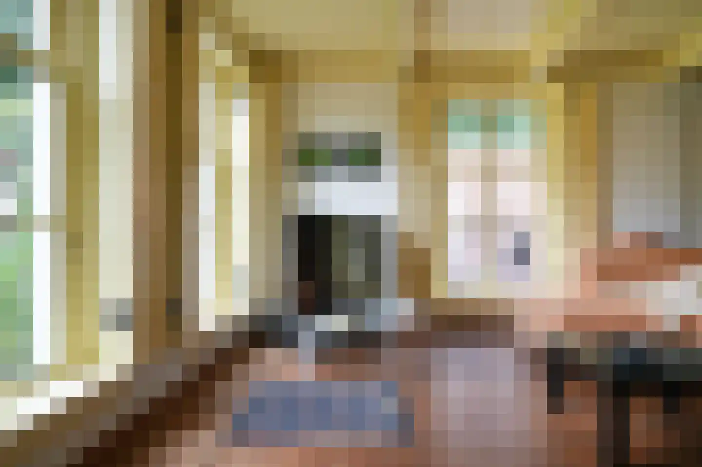 Den Huizen 6 Balkbrug thumbnail 11