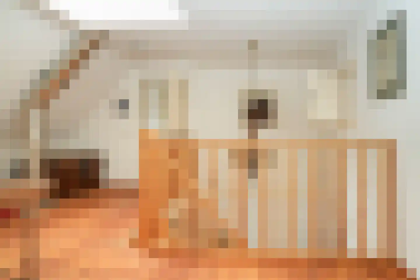 Den Huizen 6 Balkbrug thumbnail 24