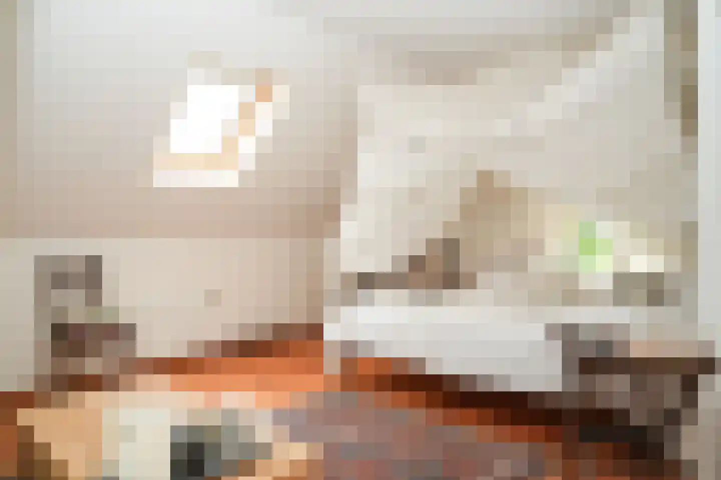 Den Huizen 6 Balkbrug thumbnail 26