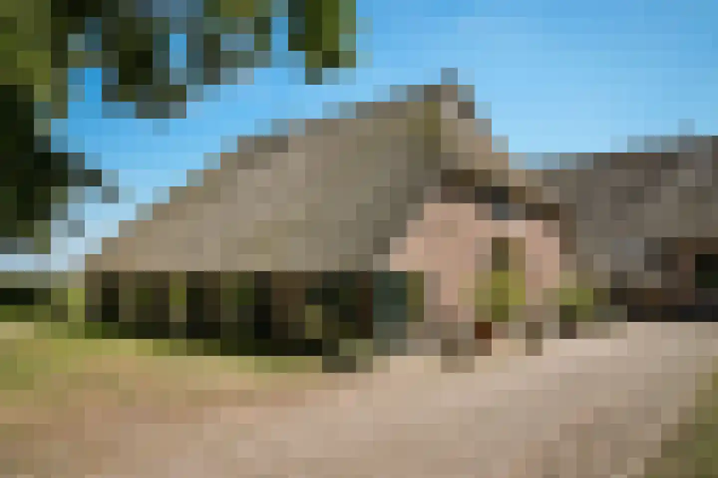 Den Huizen 6 Balkbrug foto 3