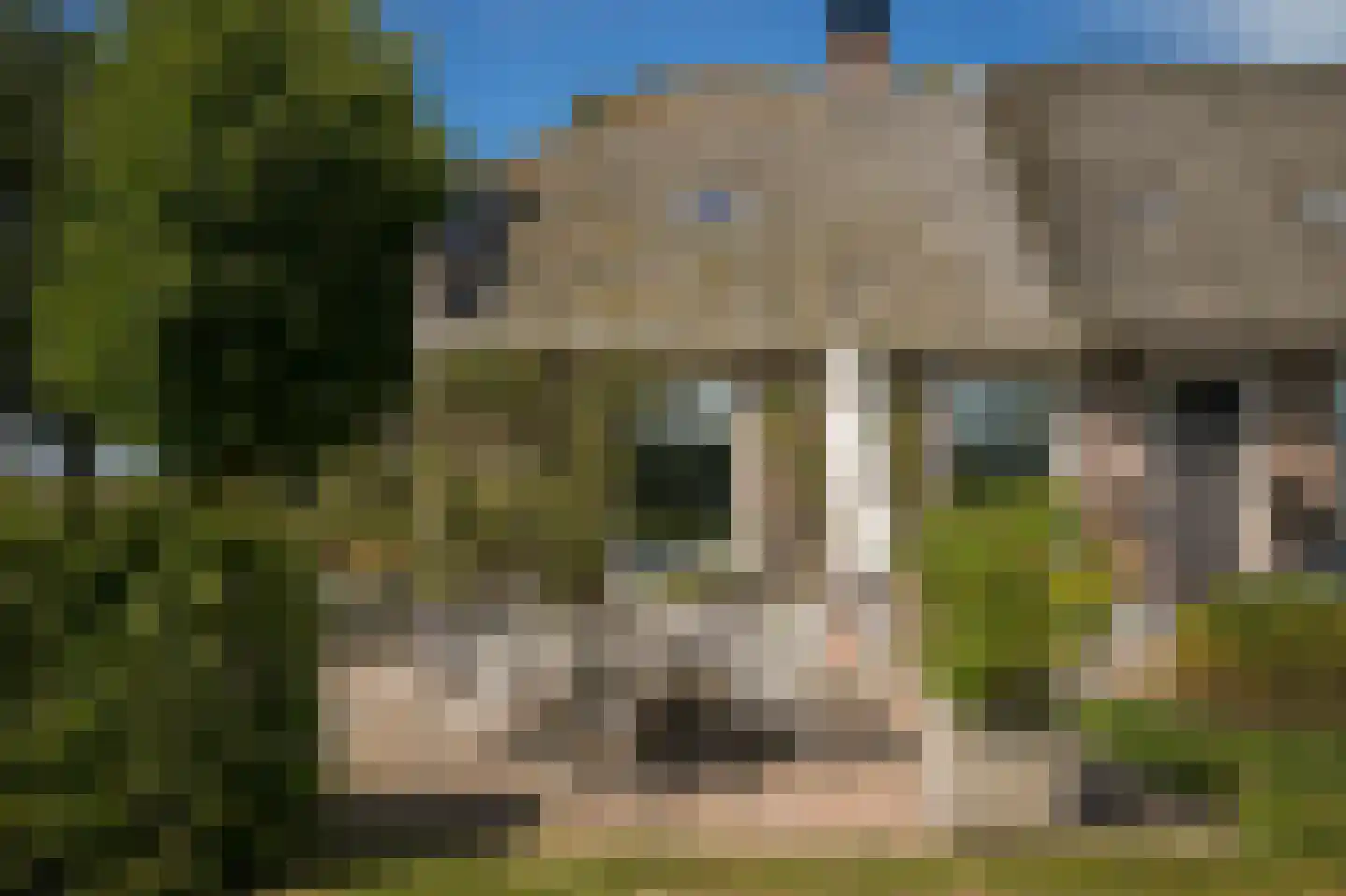 Den Huizen 6 Balkbrug thumbnail 36