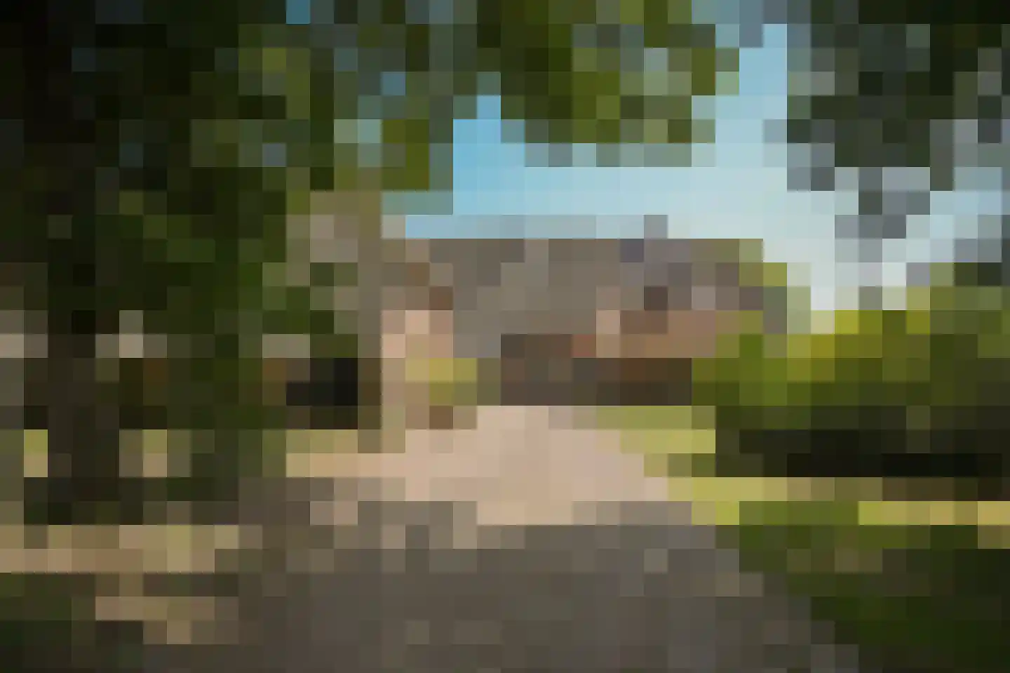 Den Huizen 6 Balkbrug thumbnail 39