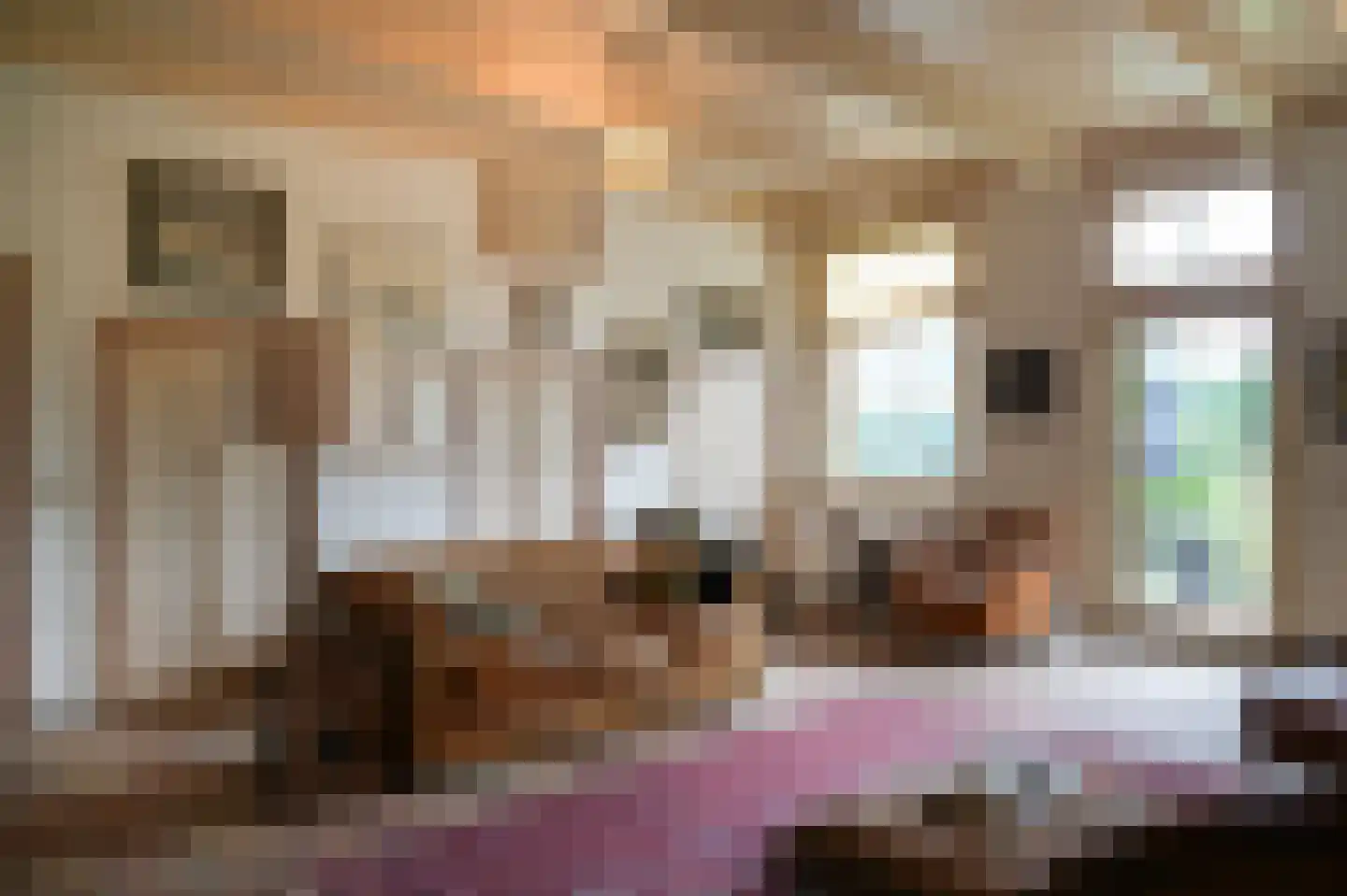 Den Huizen 6 Balkbrug thumbnail 5