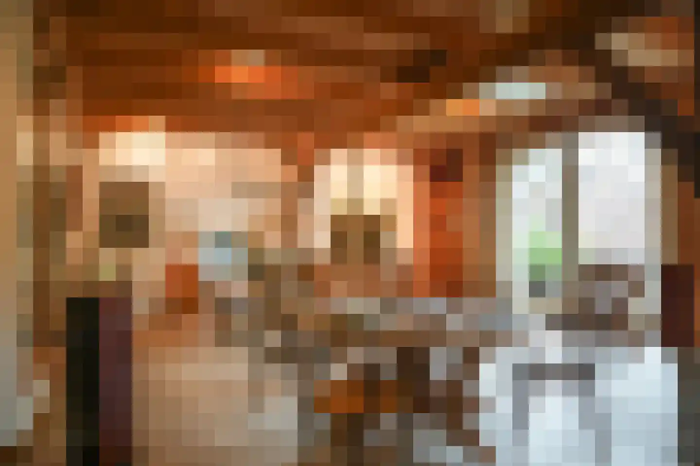 Den Huizen 6 Balkbrug thumbnail 50