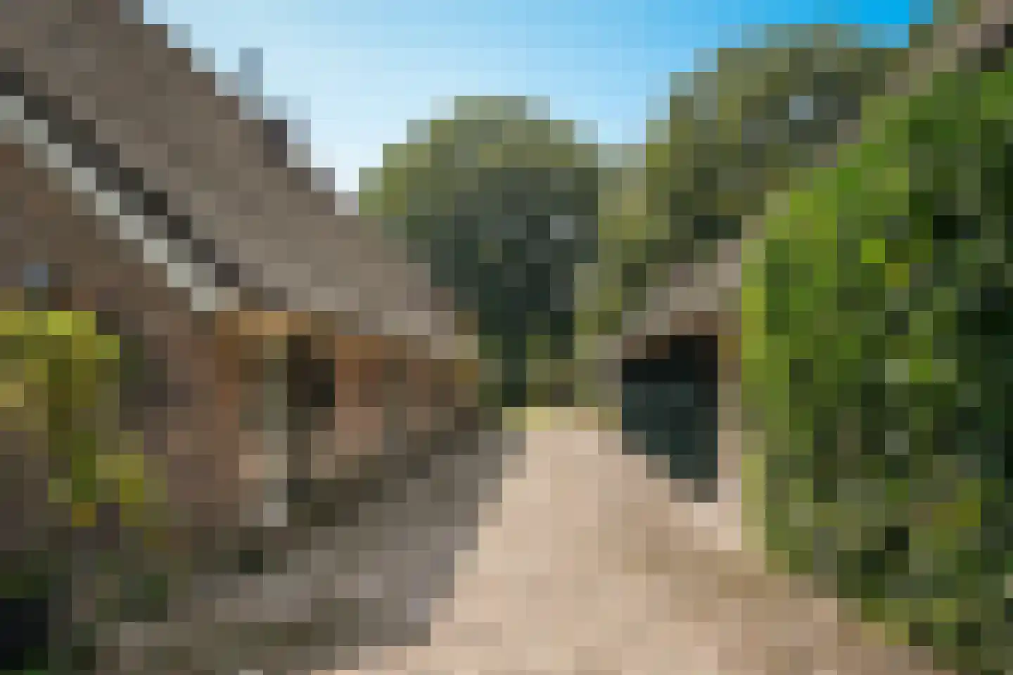 Den Huizen 6 Balkbrug thumbnail 56