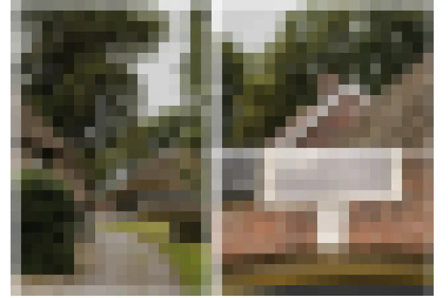 Den Huizen 6 Balkbrug thumbnail 57