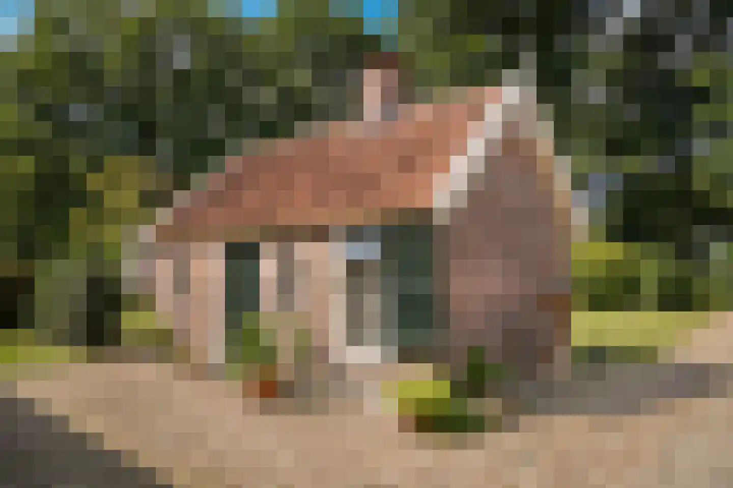 Den Huizen 6 Balkbrug thumbnail 58