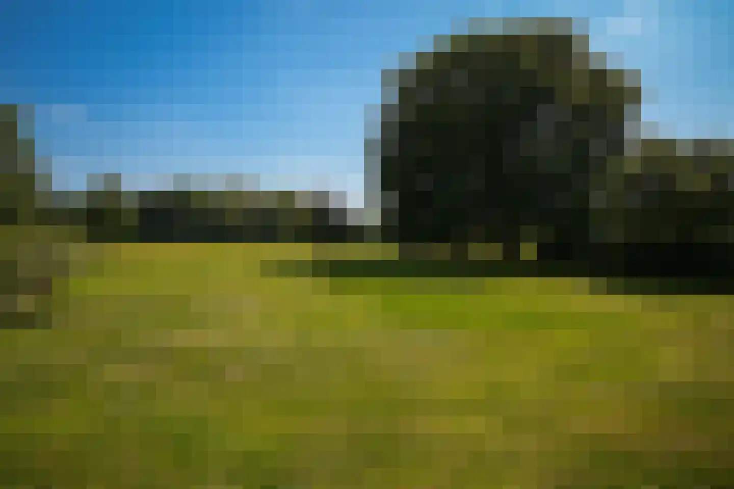 Den Huizen 6 Balkbrug thumbnail 79