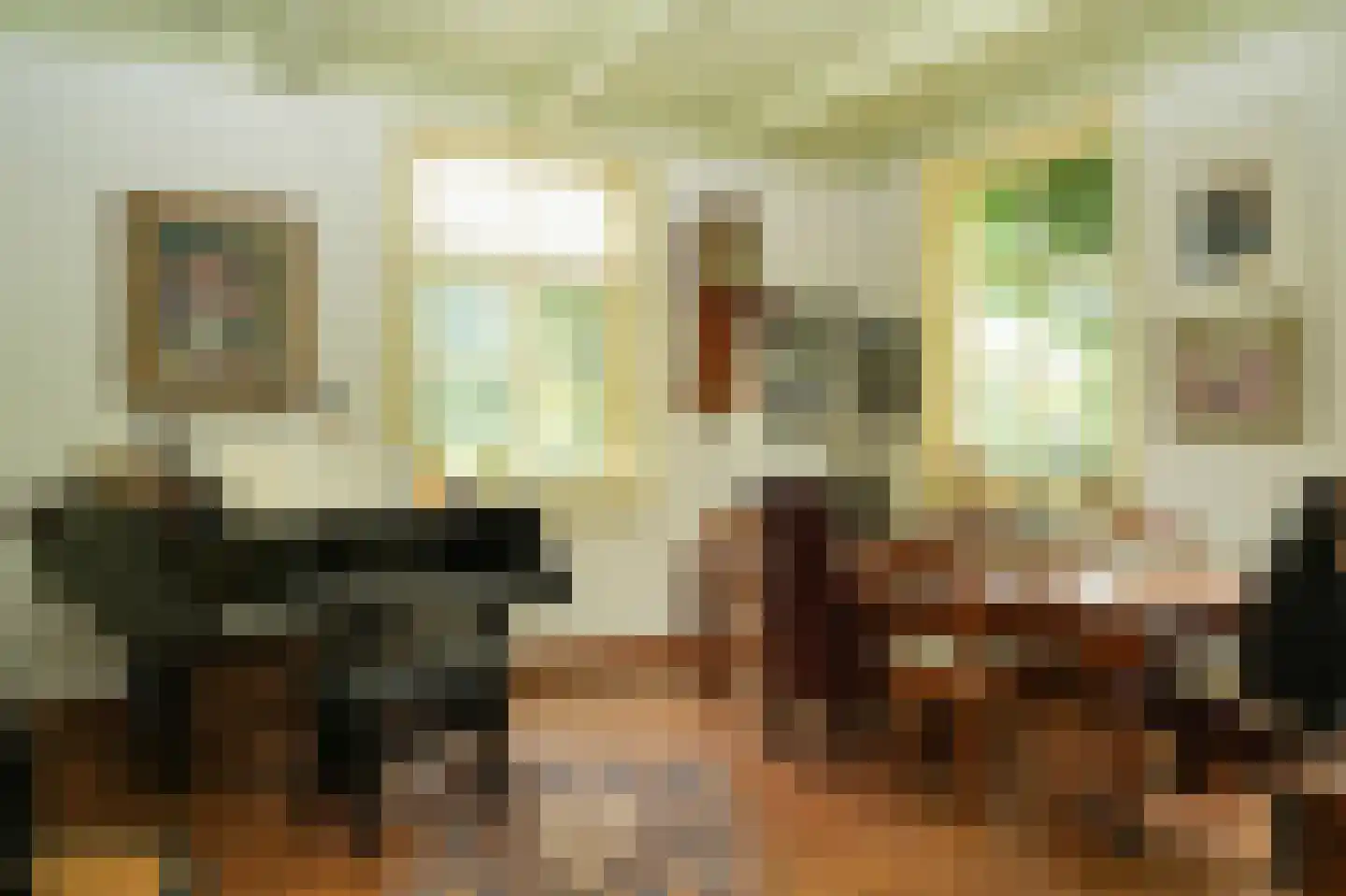 Den Huizen 6 Balkbrug thumbnail 9