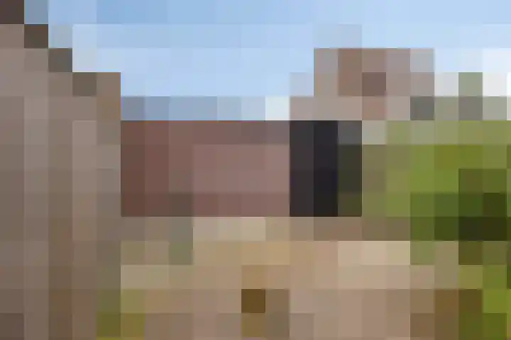 Den Hul 6 Lith thumbnail 18