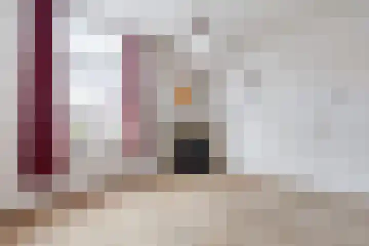Den Hulst 156 Nieuwleusen thumbnail 10