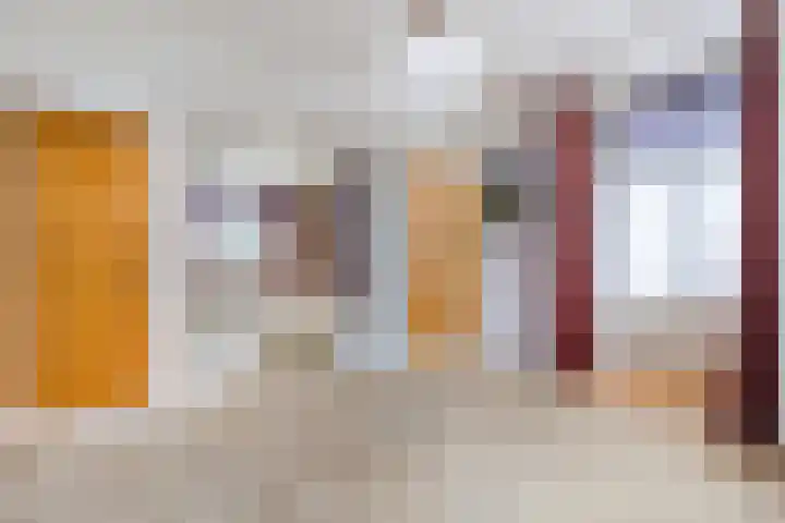 Den Hulst 156 Nieuwleusen thumbnail 11