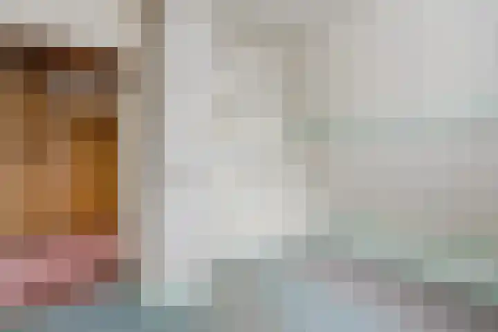Den Hulst 156 Nieuwleusen thumbnail 17