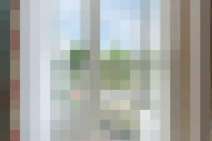 Den Hulst 156 Nieuwleusen thumbnail 19
