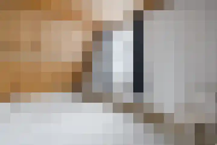 Den Hulst 156 Nieuwleusen thumbnail 20