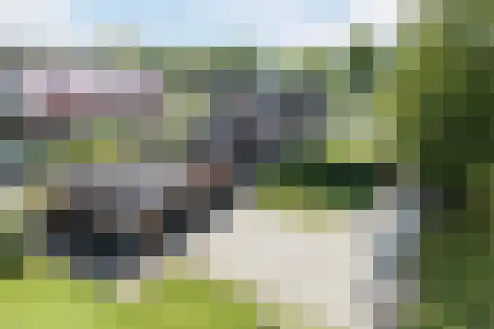 Den Hulst 156 Nieuwleusen thumbnail 25