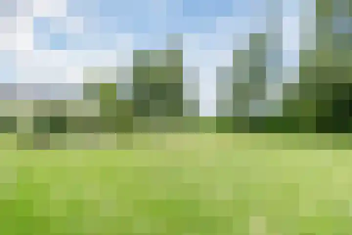 Den Hulst 156 Nieuwleusen thumbnail 30