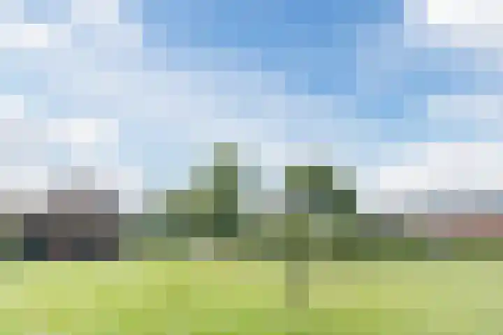 Den Hulst 156 Nieuwleusen thumbnail 31