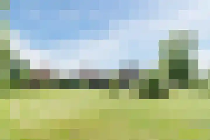 Den Hulst 156 Nieuwleusen thumbnail 32