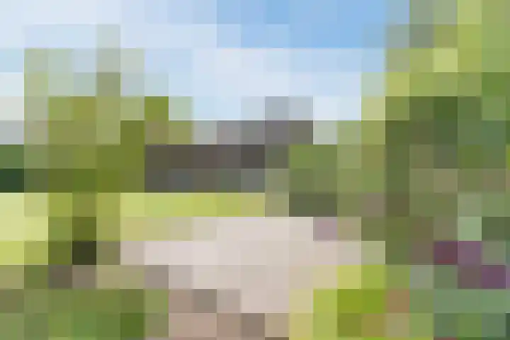 Den Hulst 156 Nieuwleusen thumbnail 33