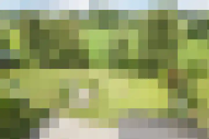 Den Hulst 156 Nieuwleusen thumbnail 35